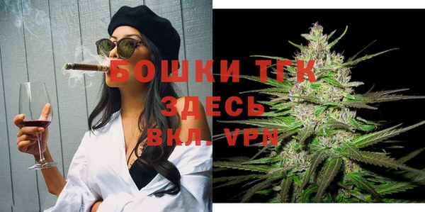 гашик Липки