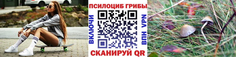 Галлюциногенные грибы Cubensis как найти наркотики Ртищево
